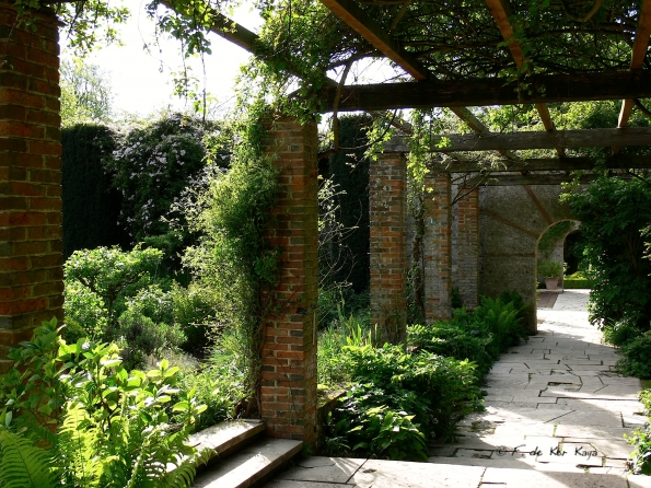 Bois des Moutiers (160) Mai 2012